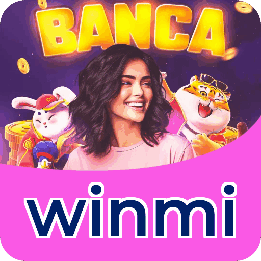 Interface winmi